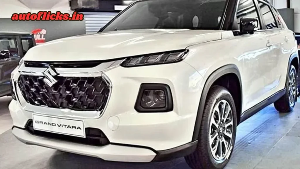 Maruti Grand Vitara Car