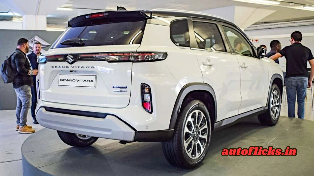 Maruti Grand Vitara Car